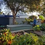 boy helping his Dad in the garden with a raised vegetable bed
