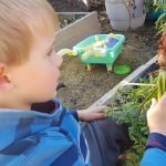 child in garden picking herbs