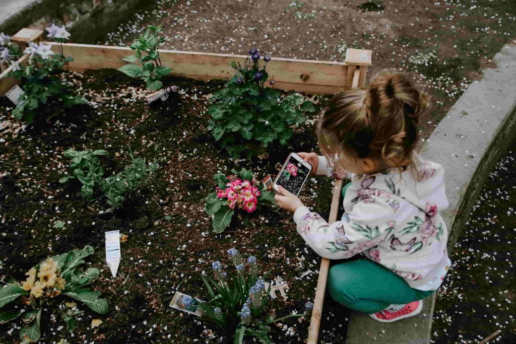 child crouching in garden, taking a photo of flowers