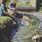 gardening-with-children-pond1